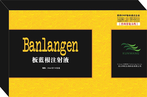 重症心肌（板蓝根注射液）